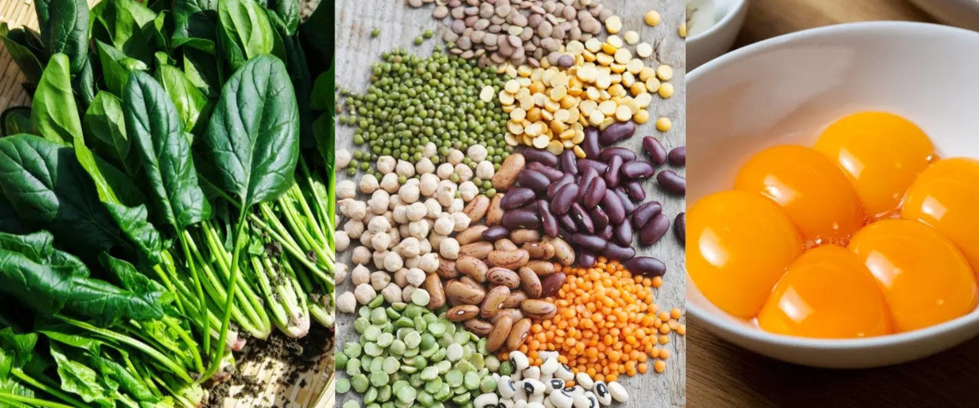 Foods that Help Increase Testosterone Levels